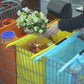 Scrub Daddy | Košarica Daddy boodschappentassen | Ograničeno izdanje